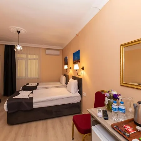 Avrupa Palace מלון 2*
