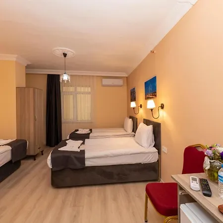 מלון Avrupa Palace 2*