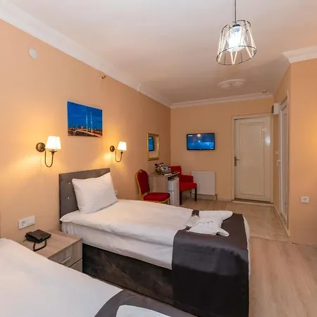 Avrupa Palace מלון 2*