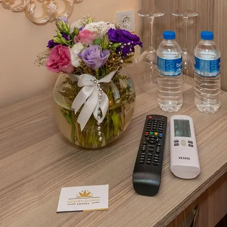 Avrupa Palace