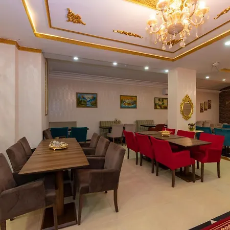 Avrupa Palace מלון