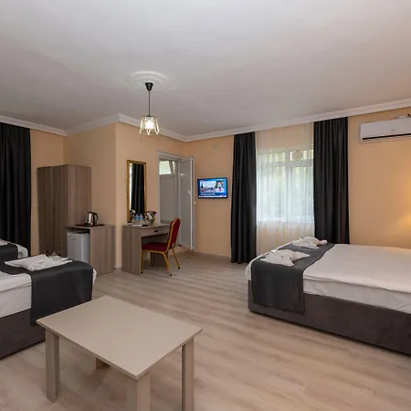 Avrupa Palace 3* イスタンブール