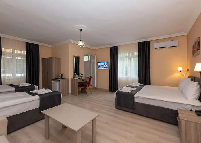 Avrupa Palace 3* Provincia di Istanbul