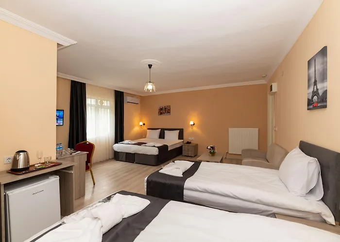 Avrupa Palace 3* Provincia di Istanbul