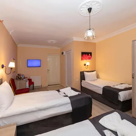 Отель Avrupa Palace 3*