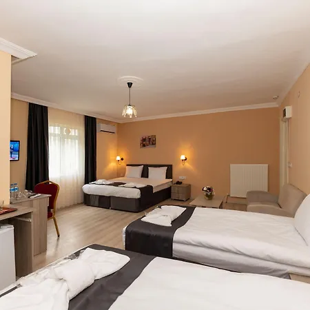 Avrupa Palace 3* Стамбул