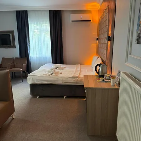 Avrupa Palace 호텔 3*